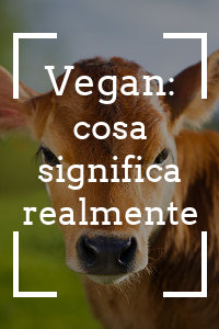 Copertina del video: Vegan: cosa significa realmente